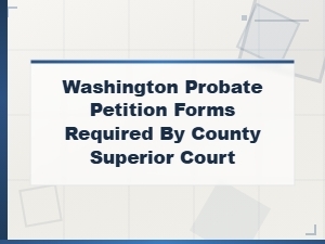 Washington County Superior Court Probate Petition Forms
